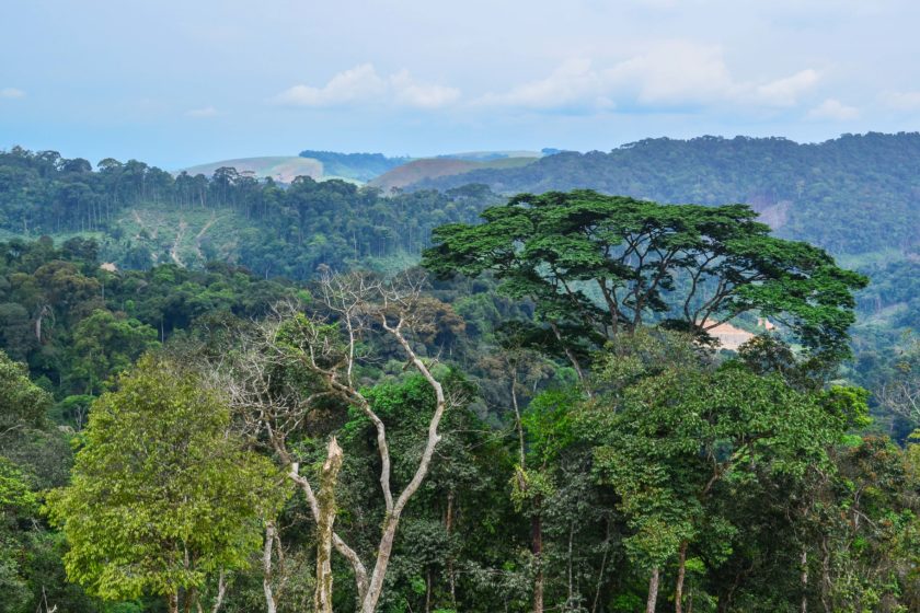 Six-Country Initiative to Protect the Congo Basin