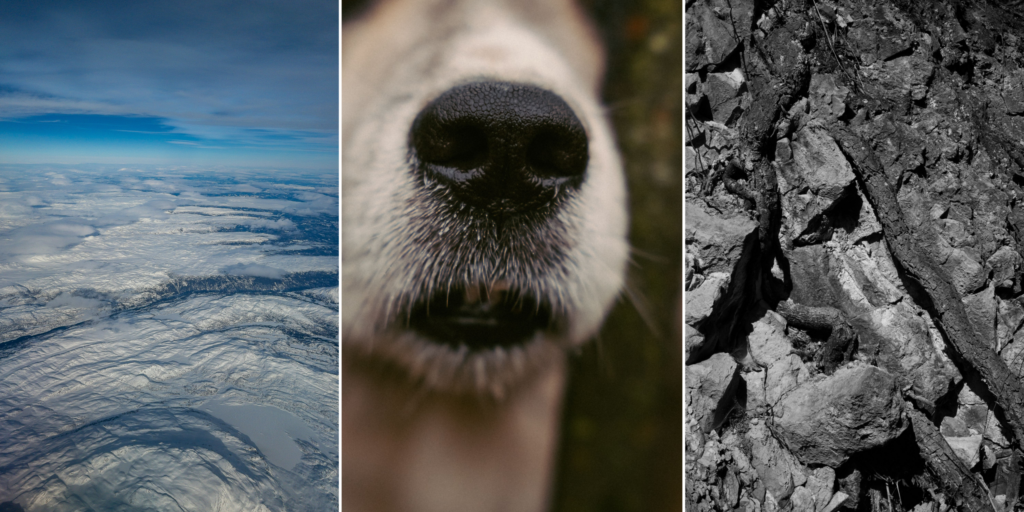 OZONE LAYER HEALING, DOGS DETECTING CANCER, ROCK BATTERIES