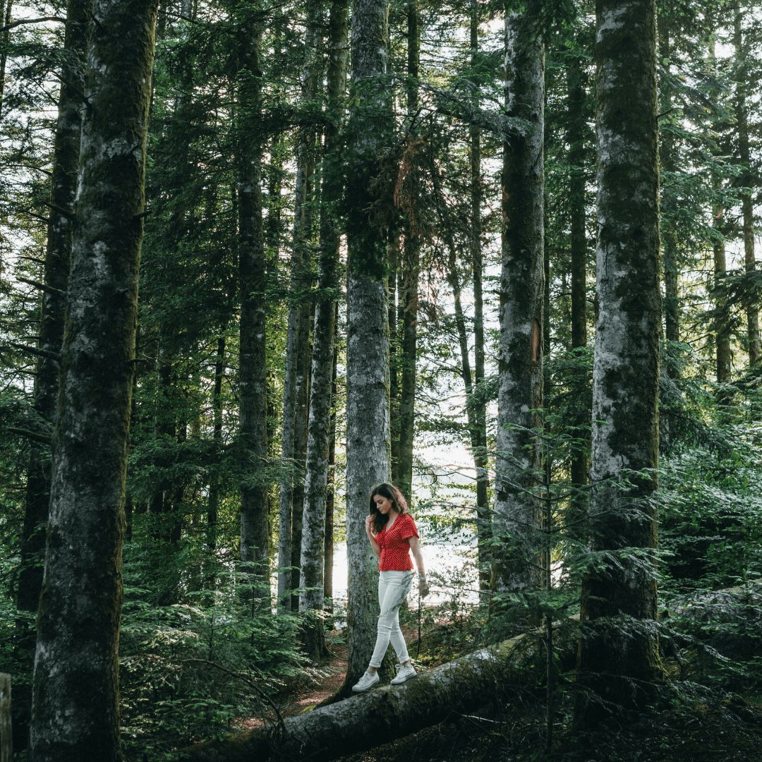 Eine Frau spaziert durch den Wald.