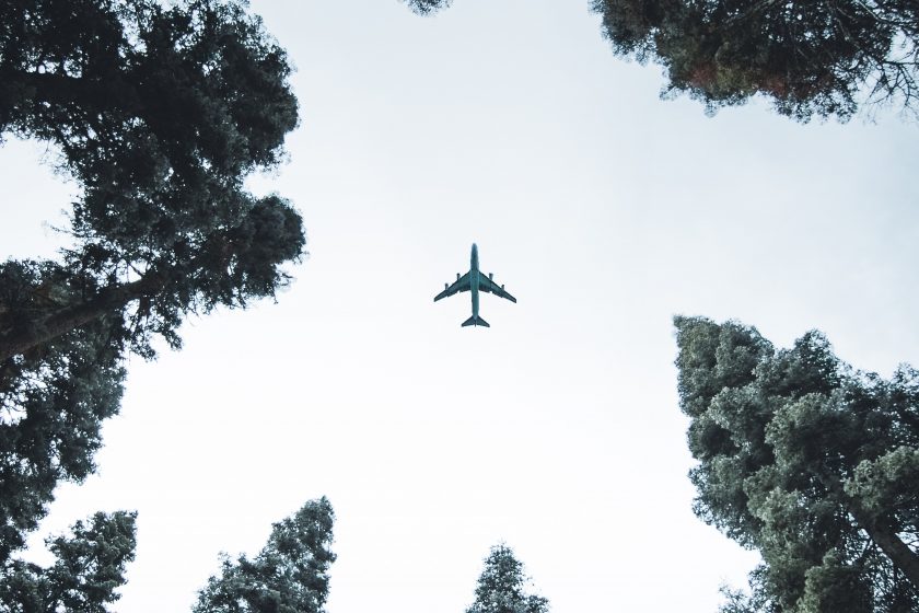 Ein Flugzeug fliegt über einen Wald