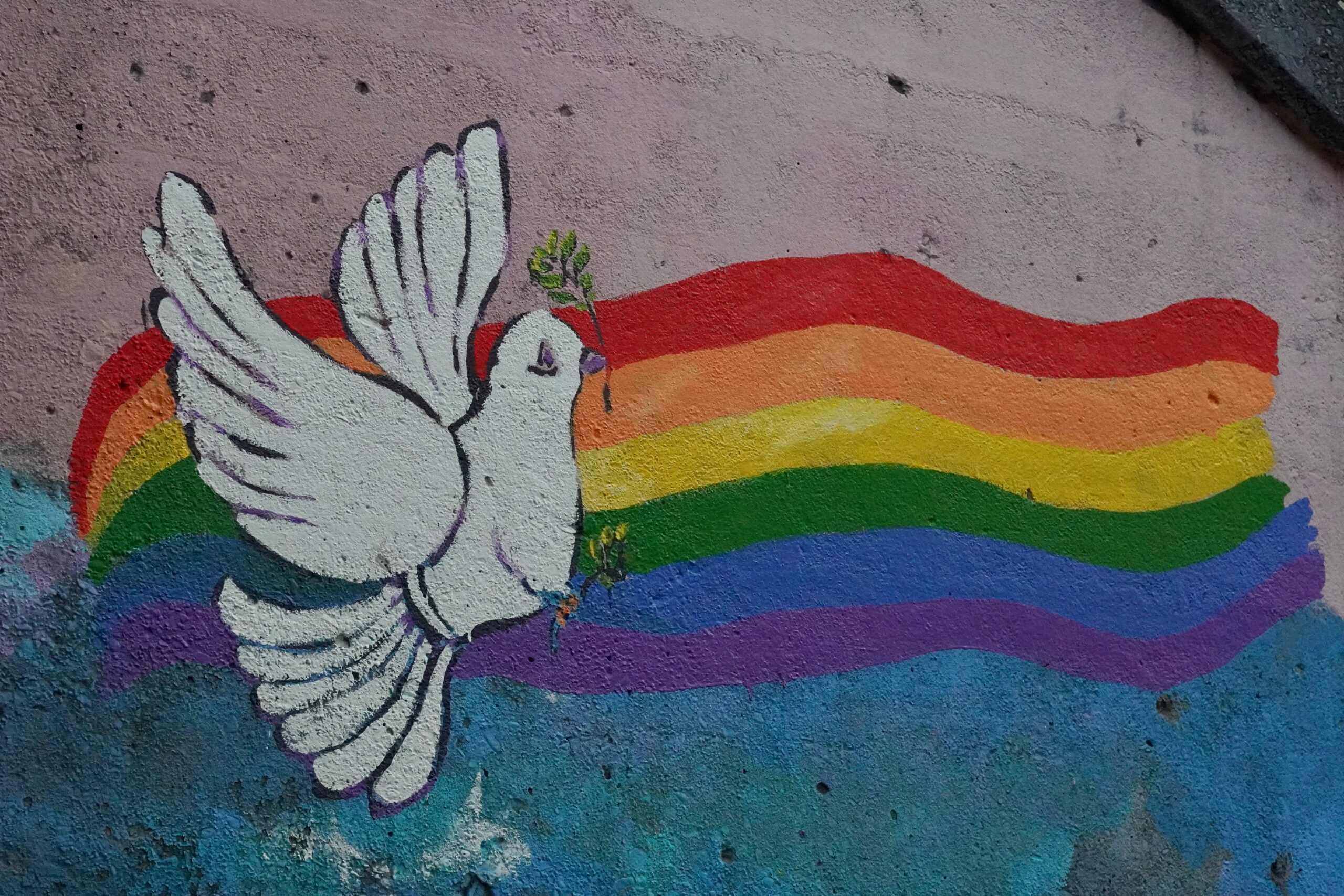 Friedenstaube vor Regenbogenflagge