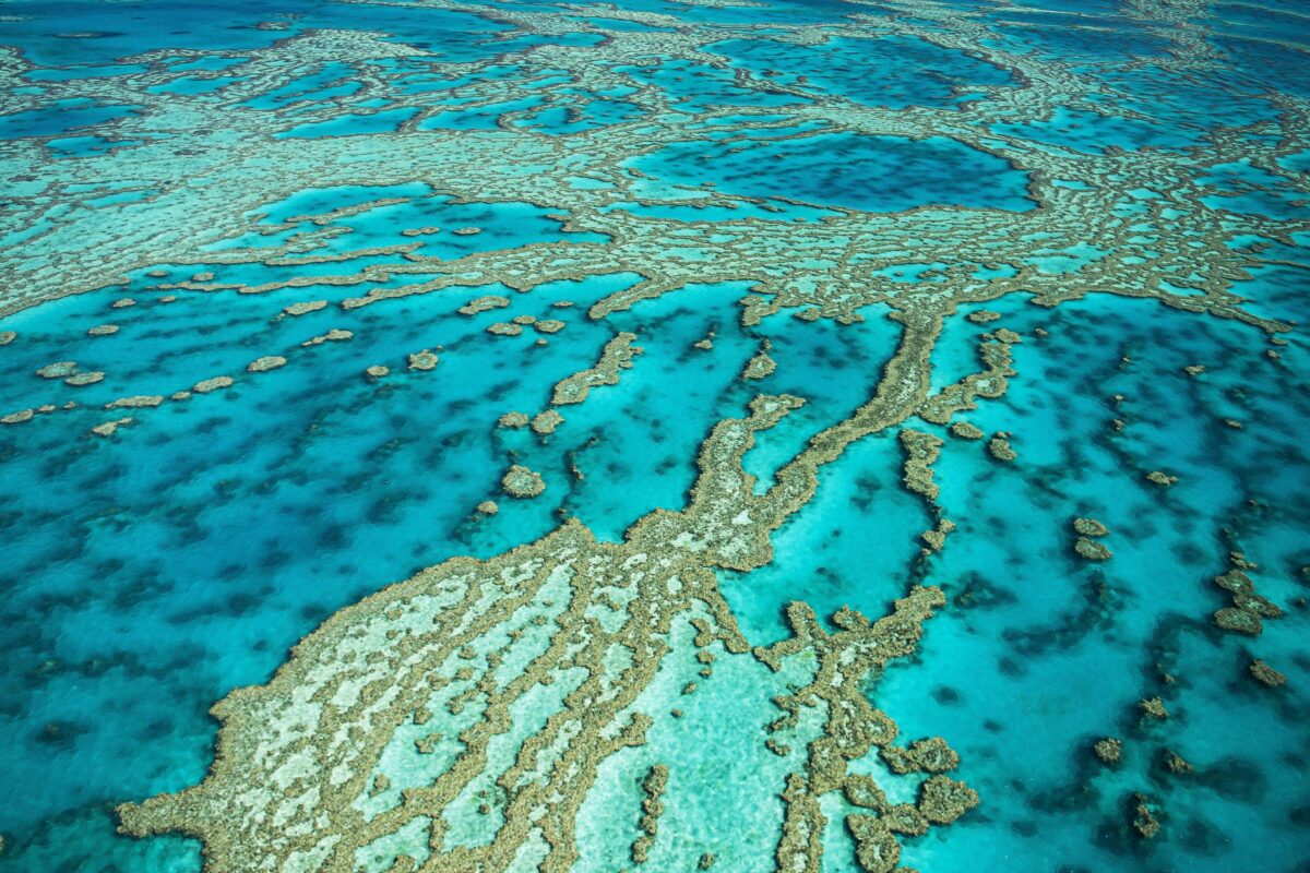 Luftaufnahme, Riffe und Atolle des Great Barrier Reef