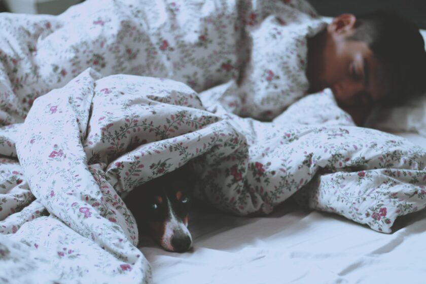 Person und Hund schlafen unter einer Decke