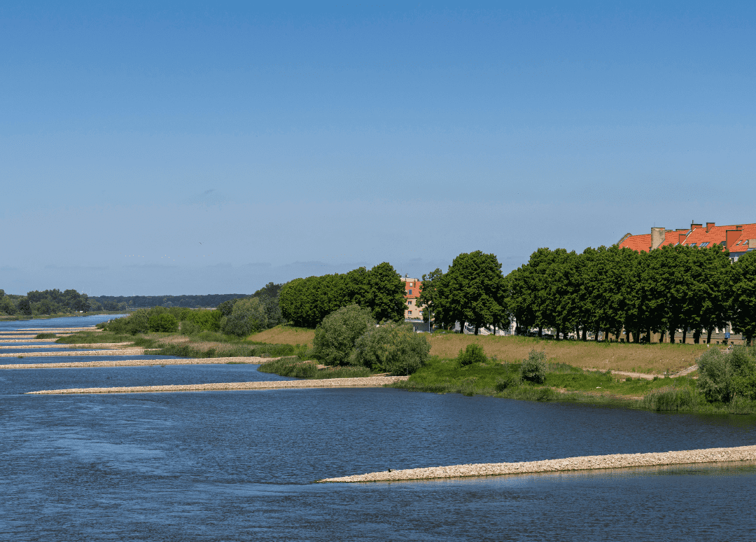 Landschaft auf der polnischen Seite der Oder