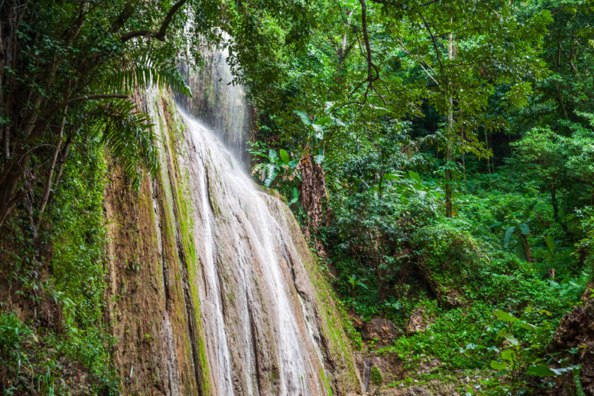 Wasserfall in einem grünem Wald