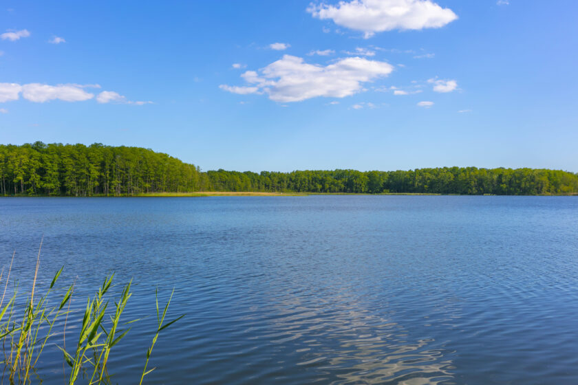 Badesee umrundet von grünen Bäumen