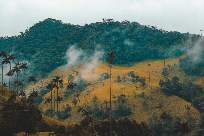 ein wolkenverhangener Hang in Kolumbien, der zum Teil aus grünem Regenwald und zum Teil aus gelben Wiesen besteht