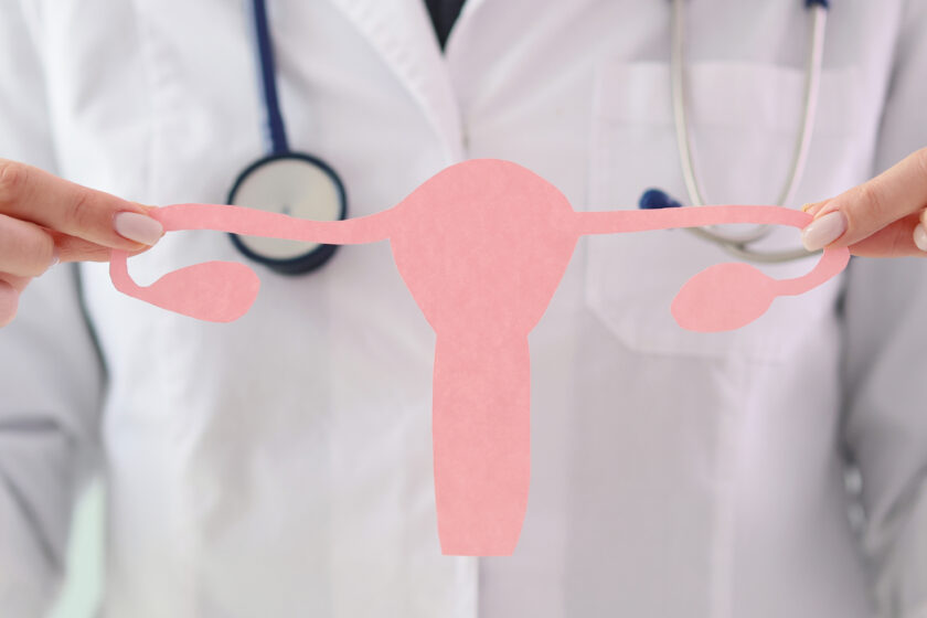 eine Person in einem Arztkittel hält einen pinkfarbenen Uterus aus Papier hoch