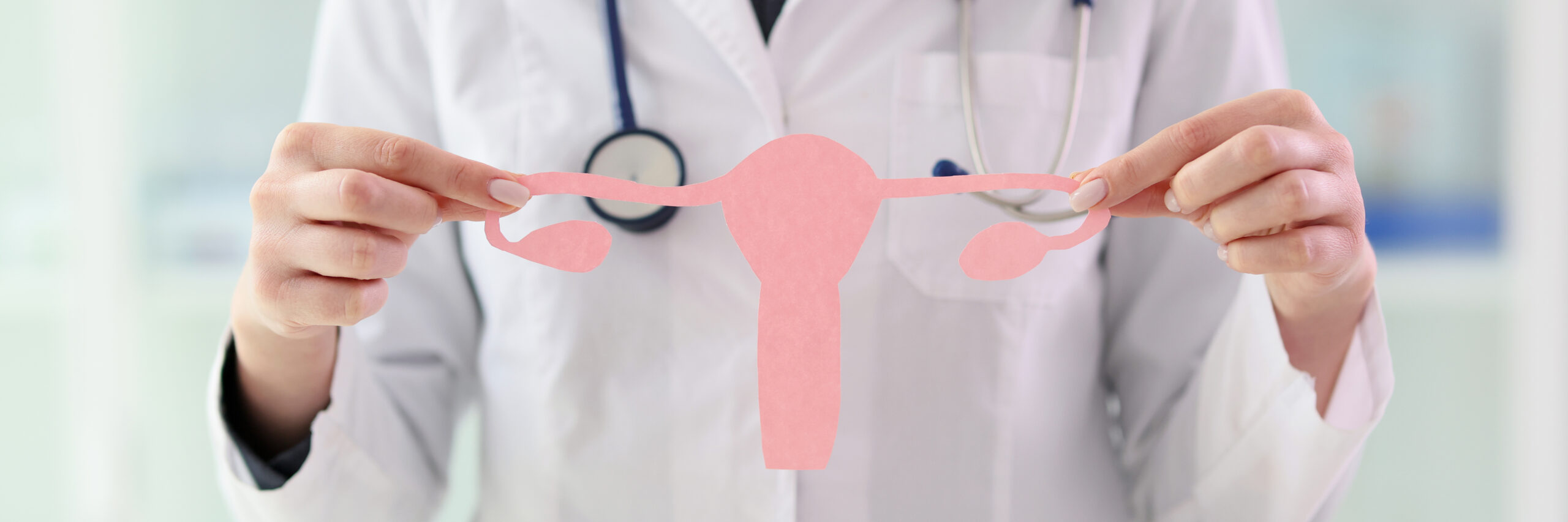 eine Person in einem Arztkittel hält einen pinkfarbenen Uterus aus Papier hoch