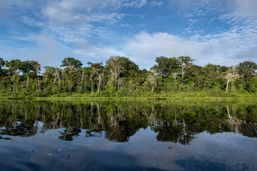 ein Wald in Kolumbien spiegelt sich in einem See