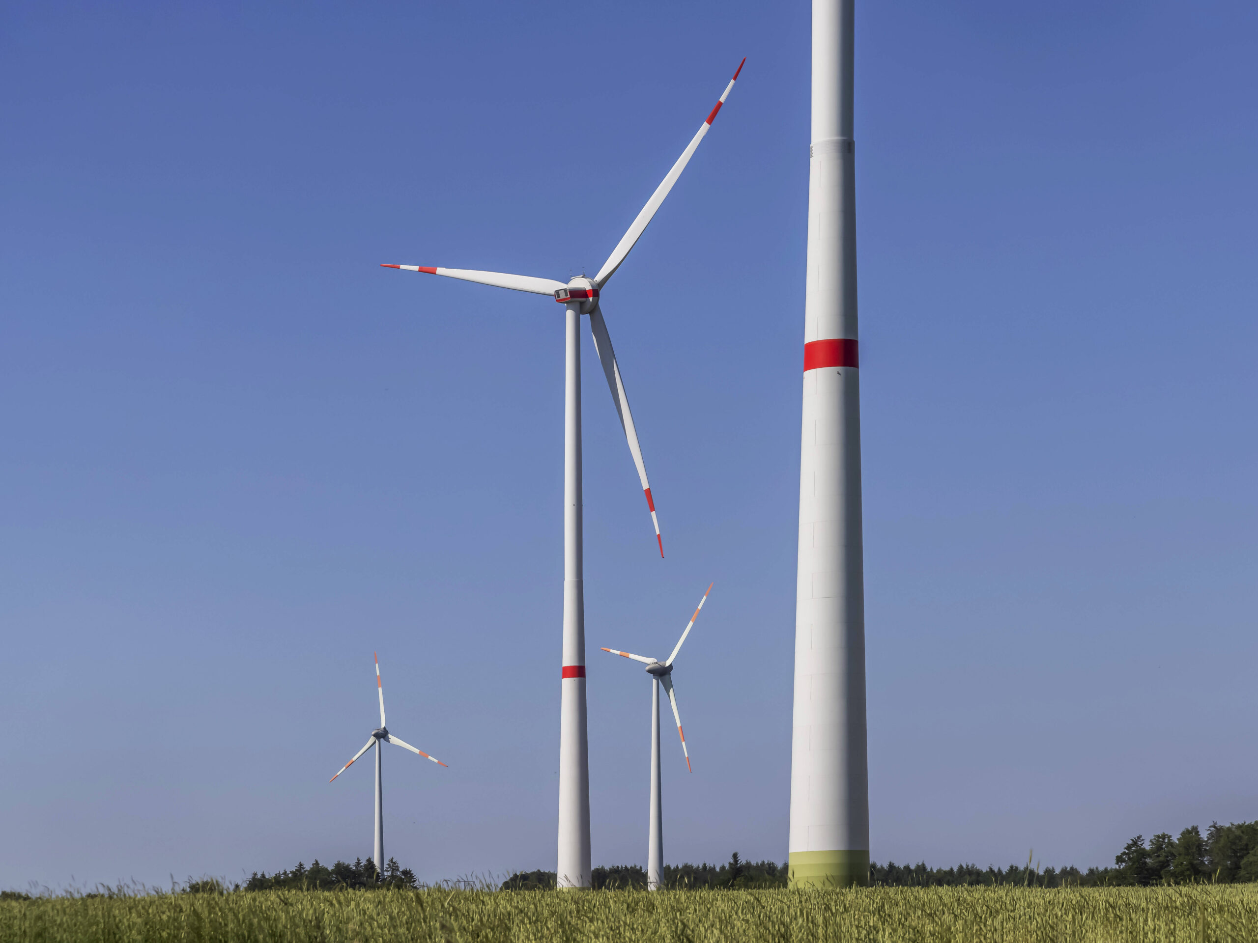 Vier Windkrafträder vor einem strahlend blauen Himmel