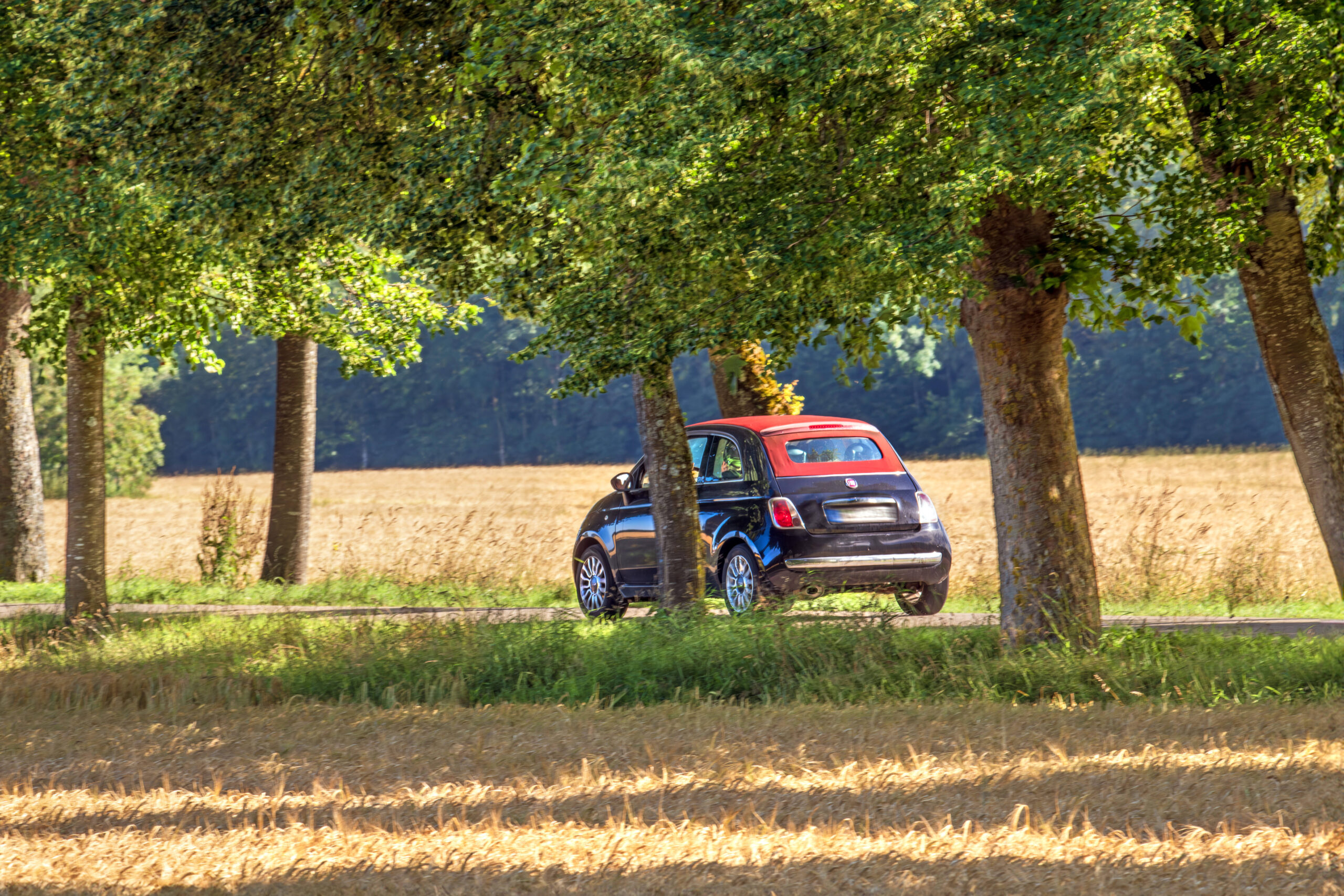 ein kleines schwarz-rotes Auto fährt auf einer Allee im Sommer, im Vorder- und Hintergrund goldgelbe Kornfelder
