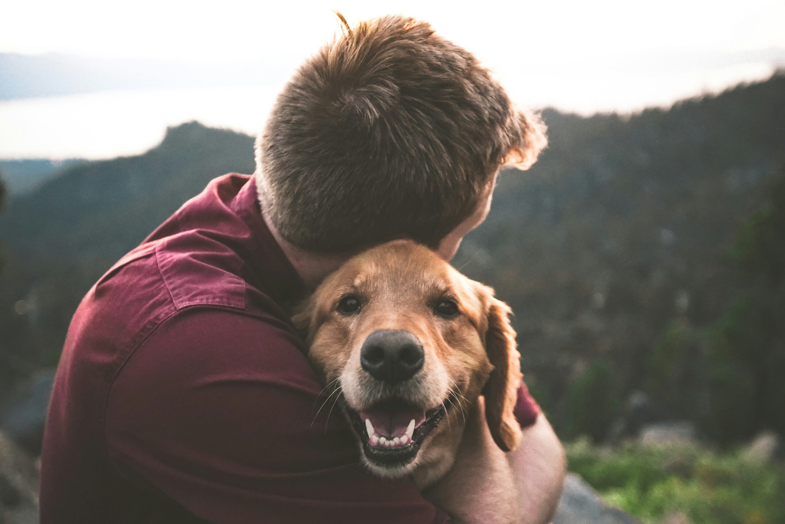 Ein Mann umarmt einen Golden Retriever, im Hintergrund sieht man Berge