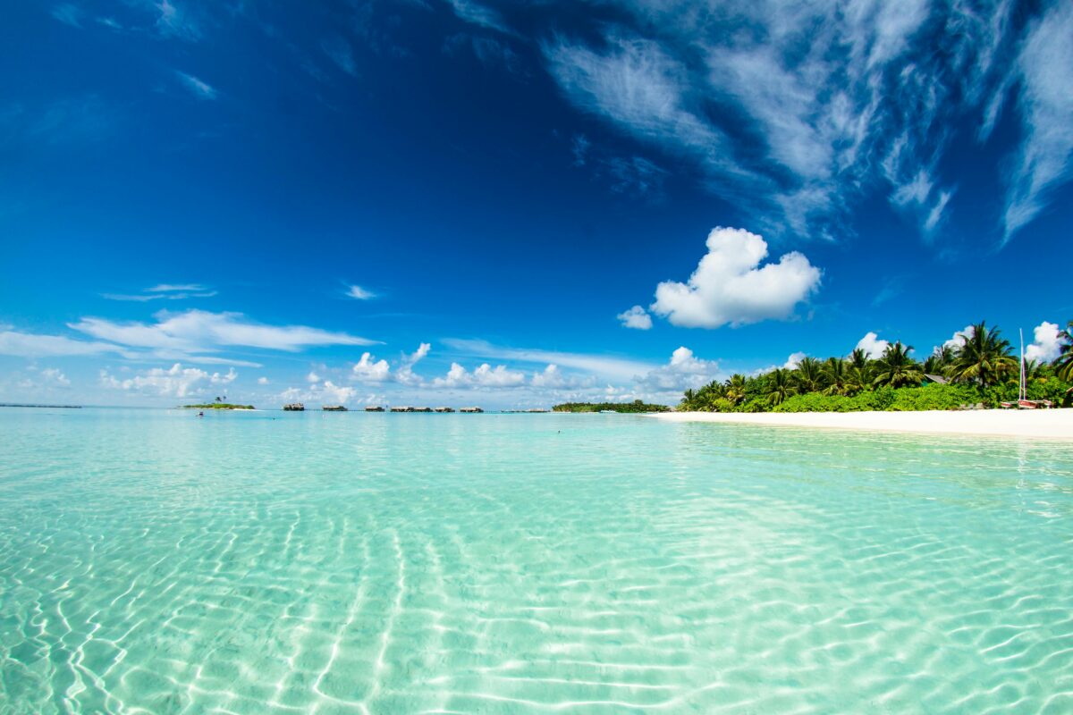 Foto einer Insel auf den Malediven, mit türkisem Wasser, blauem Himmel und weißem Sandstrand, auf dem ein paar Palmen zu sehen sind