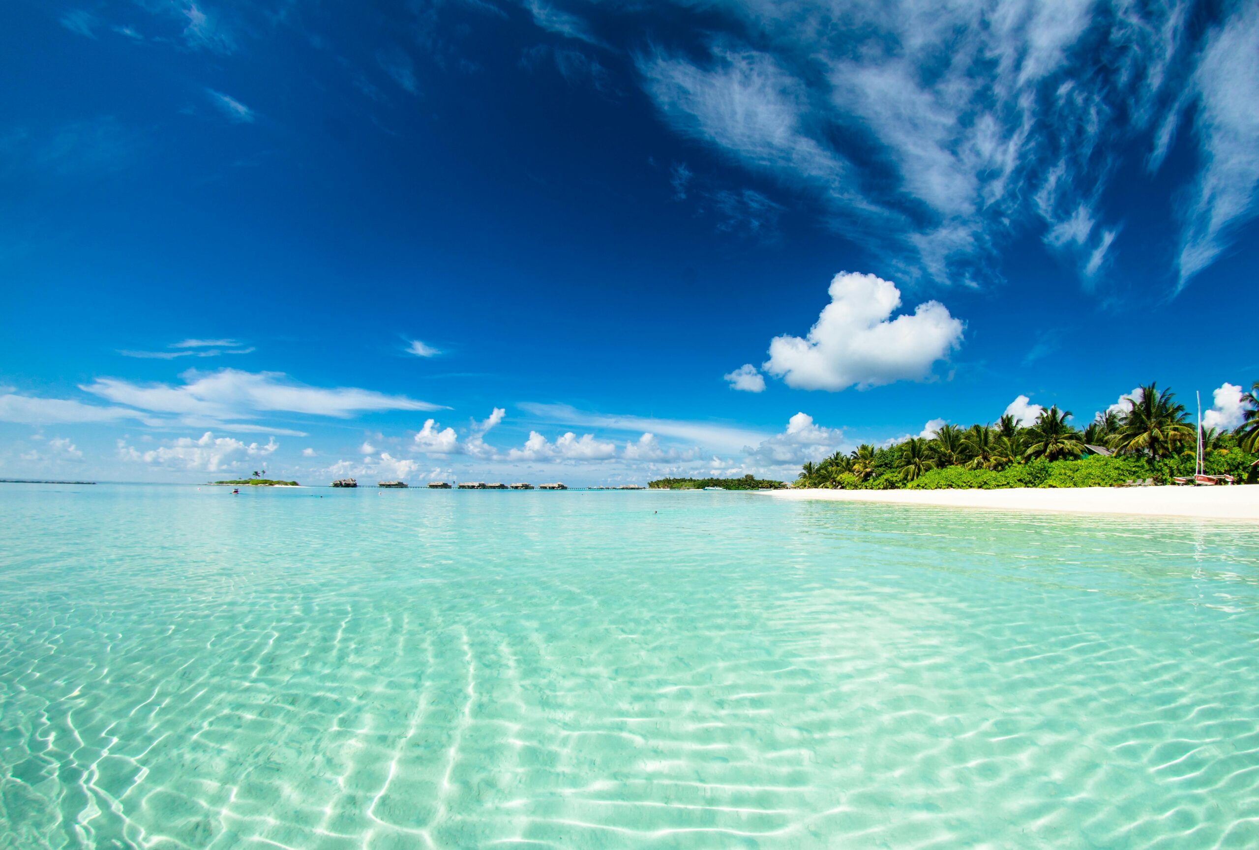 Foto einer Insel auf den Malediven, mit türkisem Wasser, blauem Himmel und weißem Sandstrand, auf dem ein paar Palmen zu sehen sind