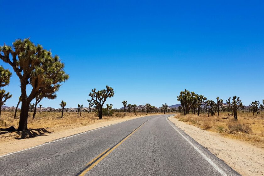 Eine Landstraße durch eine trockene Landschaft in den USA, mit ein paar Bäumen am Straßenrand