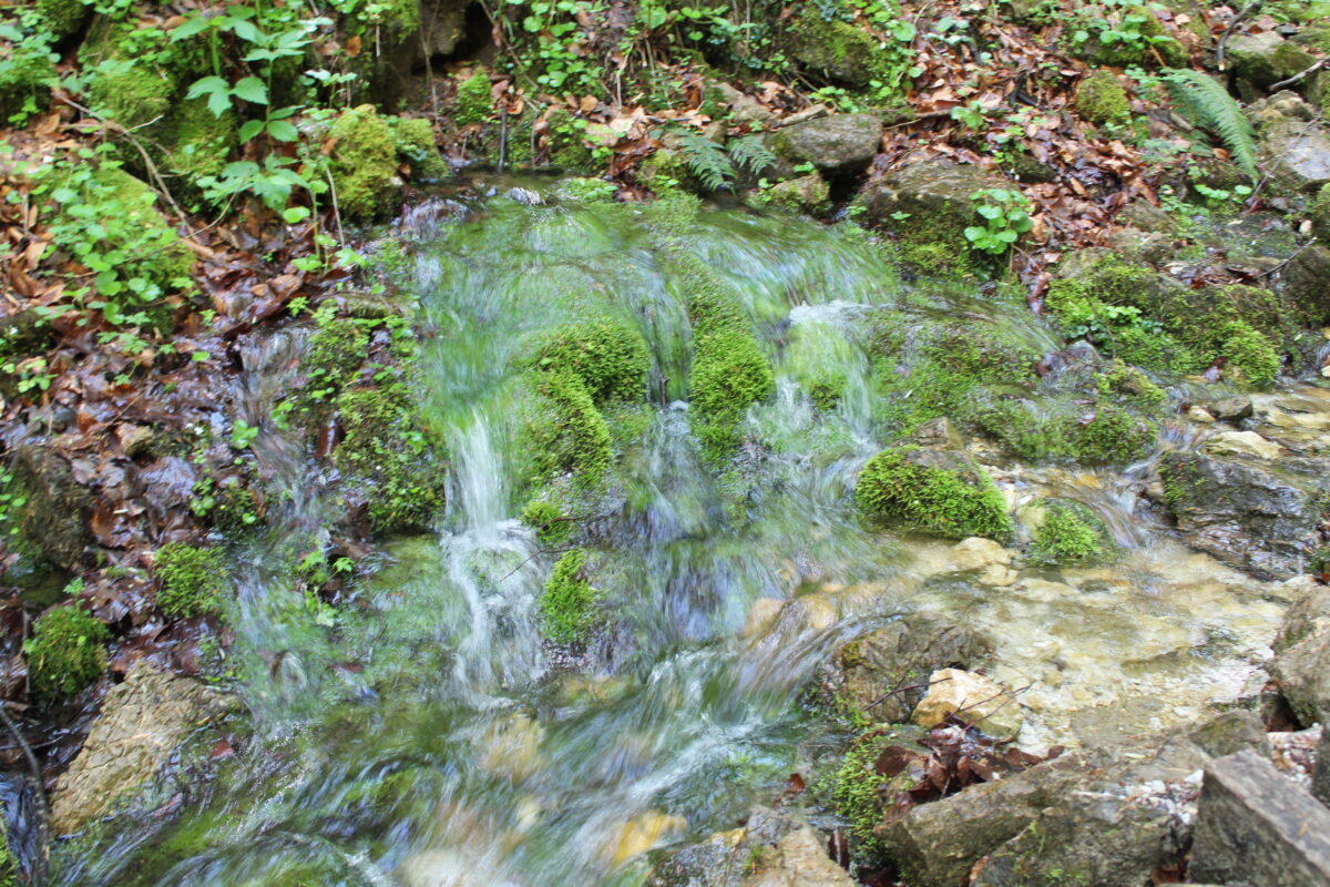 Wasser fließt über kleine, moosbewachsene Steine.