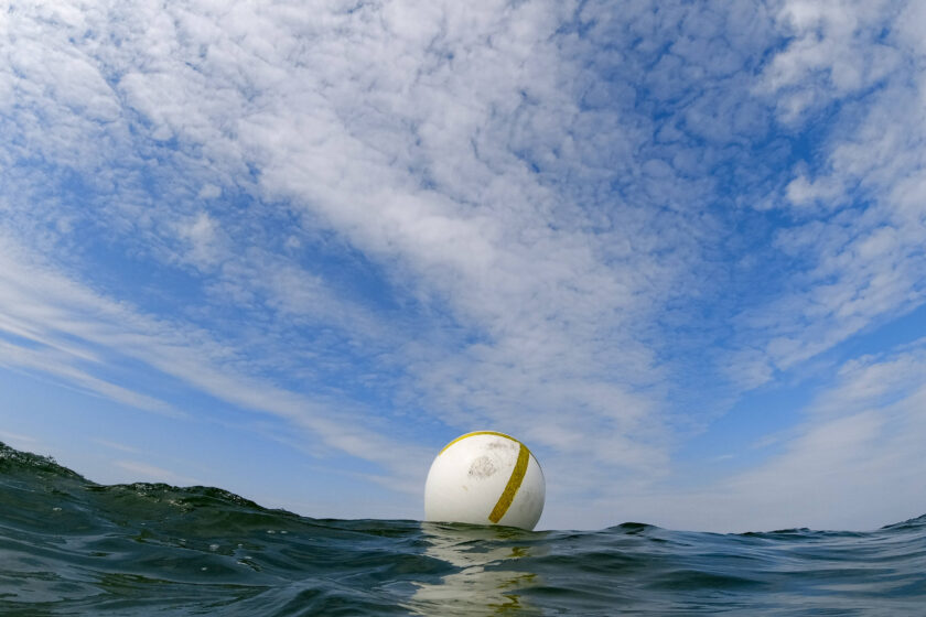 Boje auf dem Wasser