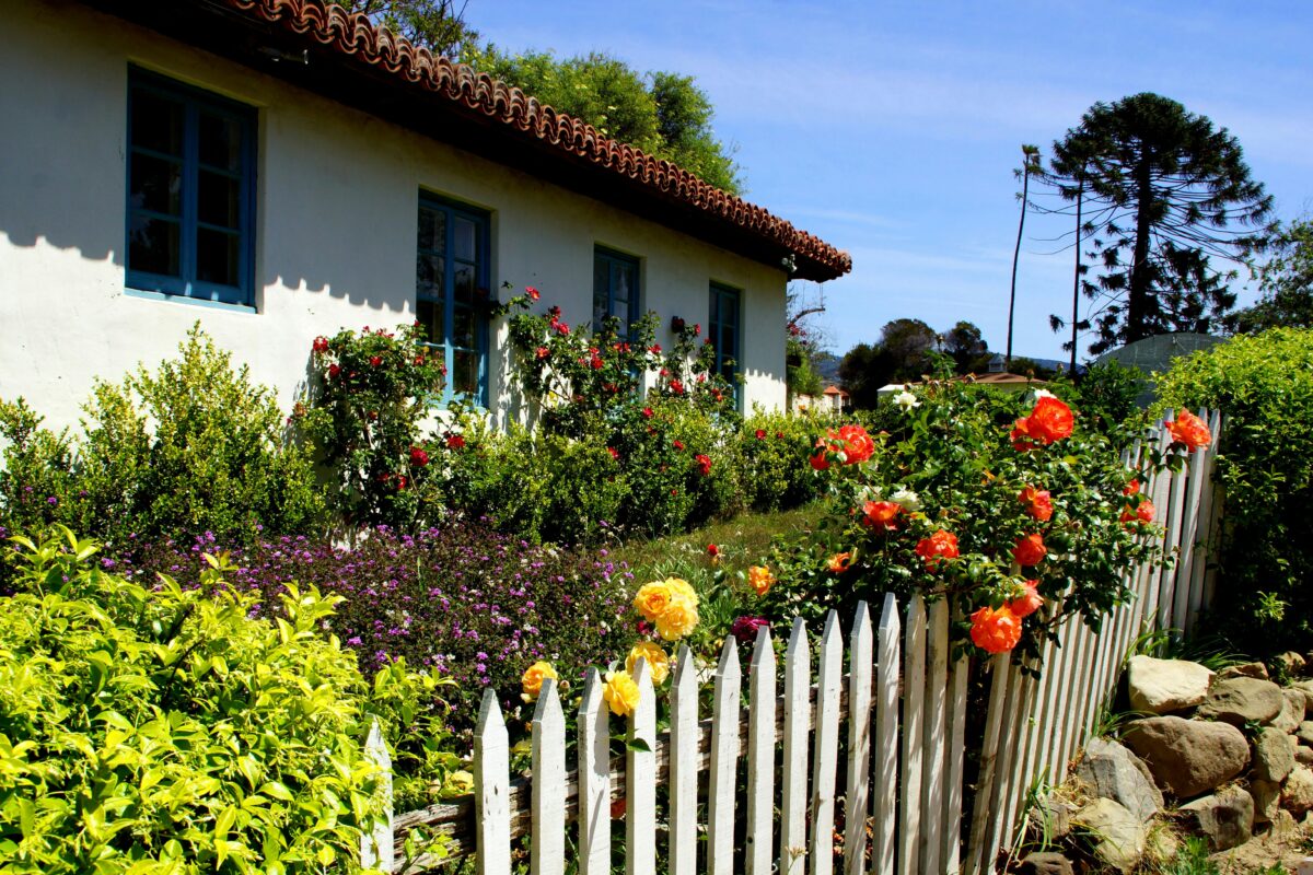 Grüner Garten mit bunten Blumen