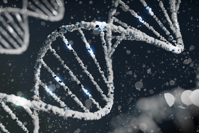 DNA