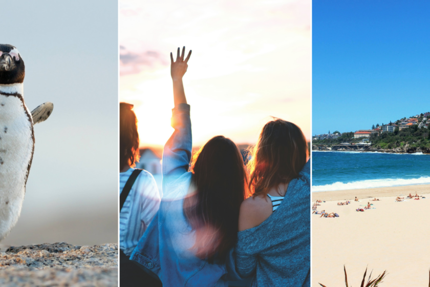 Collage Jahresrückblick