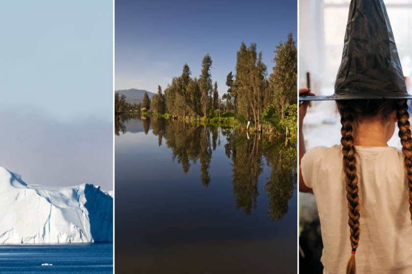 Collage mit drei Bildern