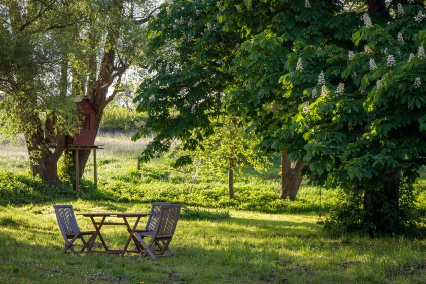 Garten